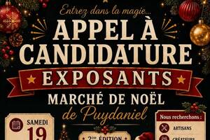 Marché de Noël de Puydaniel 2026