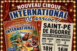 nouveau cirque international