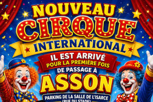 Nouveau cirque international