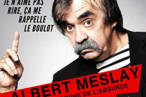 spectacle Albert meslay