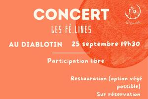photo Concert Fé.lines
