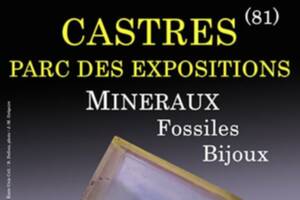 3e SALON MINERAUX FOSSILES BIJOUX