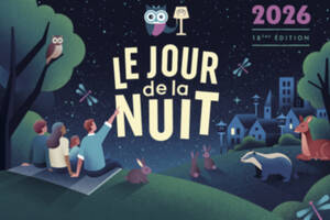 Poussières d'étoiles