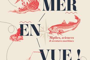 photo Mer en vue !