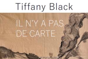 Il n'y a pas de carte