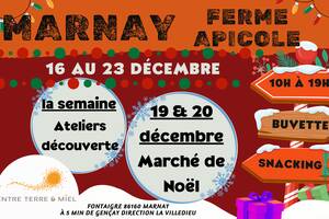 Noël à la ferme chez Entre Terre & Miel
