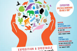 La Biodiversité, c'est la vie, c'est notre vie : Exposition & Immersion Numérique
