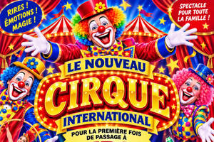 Nouveau cirque international