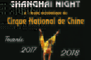 SHANGHAI NIGHT - La troupe acrobatique du Cirque National de Chine