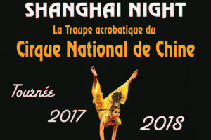 SHANGHAI NIGHT - La troupe acrobatique du Cirque National de Chine