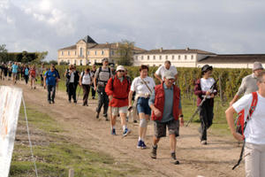 Les Foulées des Vignerons