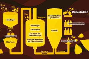 Atelier d'initiation à la fabrication de bière