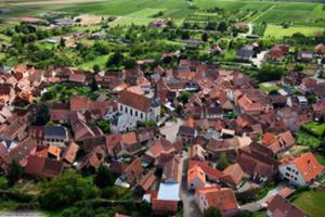 photo Le marathon du vignoble passe par Wangen