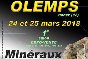 photo 1er SALON MINERAUX FOSSILES BIJOUX