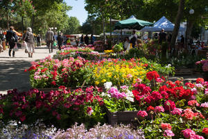 photo Fête des Fleurs et des Saveurs