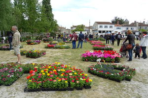 Chaniers fête les Jardins