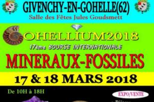 GOHELLIUM2018, 17ème Bourse Internationale Minéraux-Fossiles