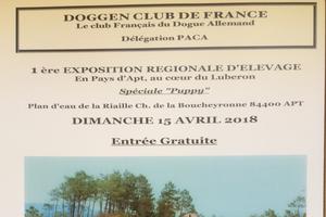 Exposition Canine régionale du Dogue Allemand