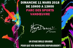 photo STAGE HAYADANCE