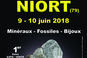 1er SALON MINERAUX FOSSILES BIJOUX