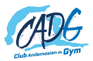 photo LE CLUB ANDERNOSIEN DE GYMNASTIQUE RECOIT SALLE ROSAZZ LE CHAMPIONNAT DEPARTEMENTAL POUSSINES DE GYMNASTIQUE ARTISTIQUE