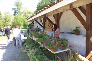 VIDE JARDIN VIDE GRENIER