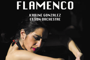 photo Festival du Vexin : Flamenco