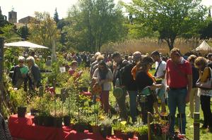 Journées Plantes Rares et Jardin Naturel