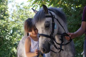 photo CHASSE aux ŒUFS à PONEY