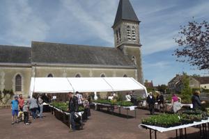 photo Les Fleurs du Patrimoine