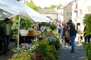 26e Marché aux Fleurs et à la décoration de jardin à RODEMACK