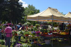 20ème fête des jardins à BIGANOS (33)