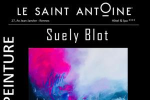 photo Exposition Suely Blot