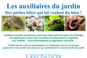 Exposition biodiversité