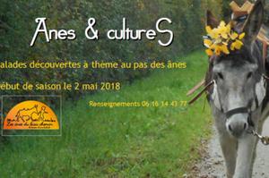 ANES & CULTURES