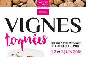 Vignes Toquées