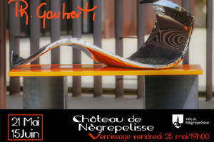 photo Philippe Gauberti expose