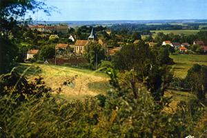 photo Concours de pétanque