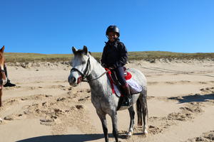 photo vide sellerie et vide maison du centre equestre de libourne