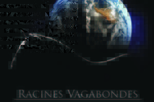 photo Racines Vagabondes