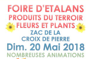 photo Foire fleurs et plants et concerts