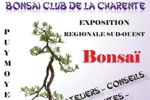 Exposition Régionale de Bonsaïs