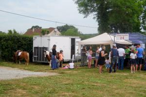 Fête de la rainette