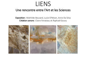 photo LIENS, une rencontre entre l'Art et la Science