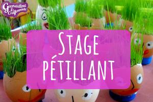 Stage pétillant 