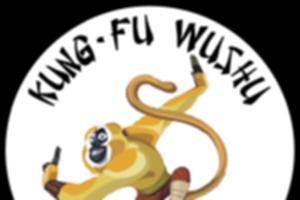 photo Portes ouvertes Kung Fu Wushu Montacutain