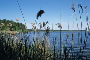 Rendez-vous de la Biodiversité : Santé