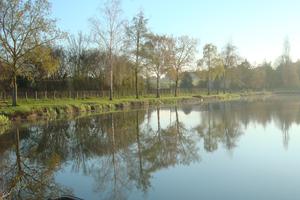 Guinguette au bord de l'eau