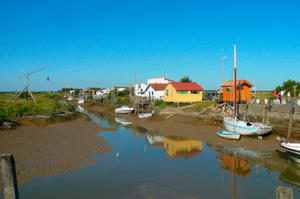 photo Cours aquarelle et exposition