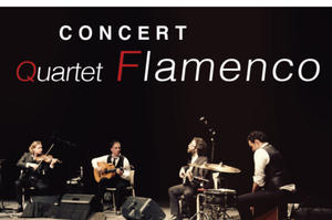 photo Nicolas Saez Quartet Flamenco